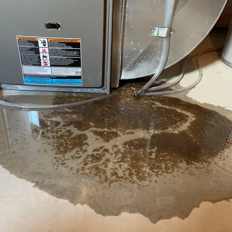 Appliance Leak Cleanup in Waipio, HI