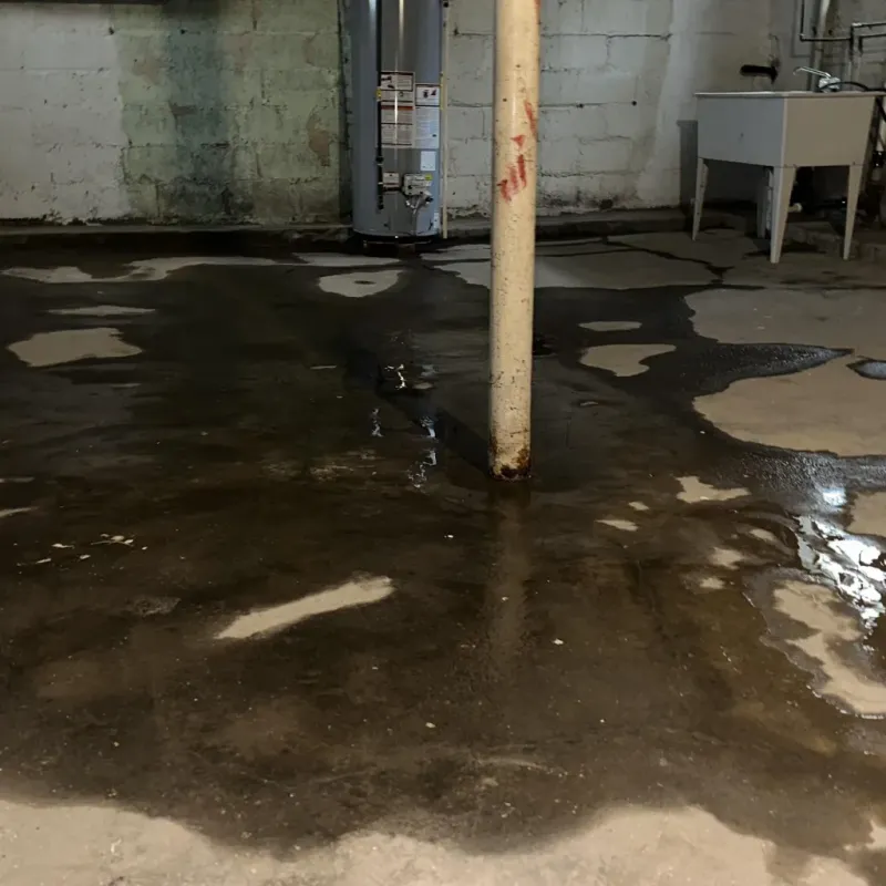 Emergency Water Extraction And Removal in Waipio, HI